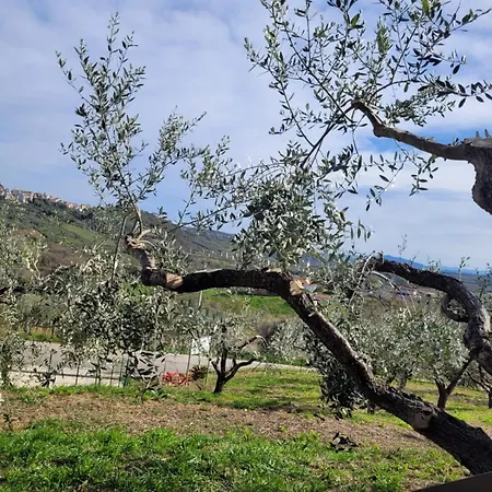 Luxury tent La Cupola Dei Trabocchi *